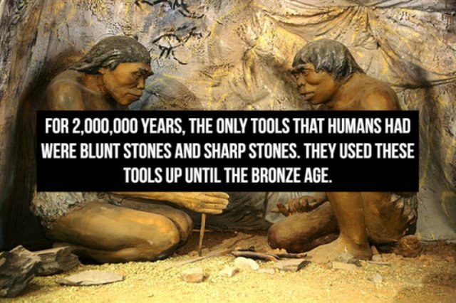 Historical Facts (13 pics)