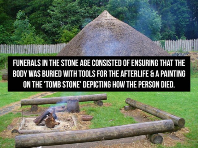 Historical Facts (13 pics)
