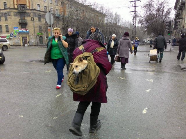 Strange Photos From Russia (40 pics)