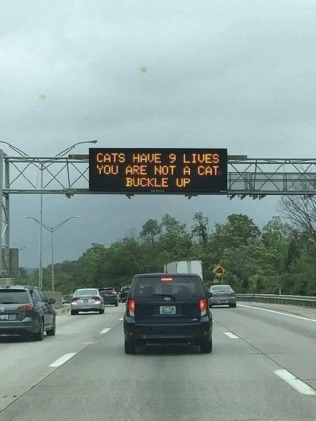 Memes For Drivers (46 pics)