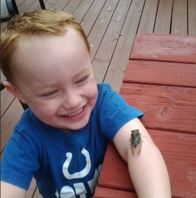 Life Is Beautiful (17 pics) Life Is Beautiful (17 pics)