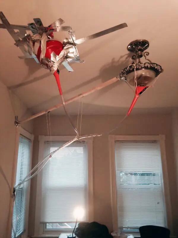 Odd Landlords (31 pics)