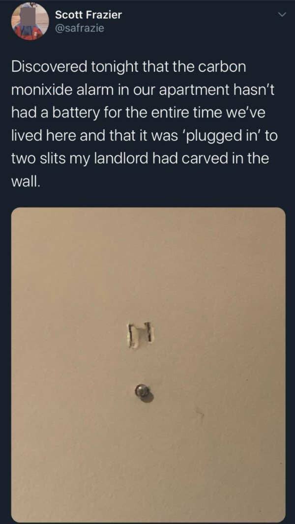 Odd Landlords (31 pics)