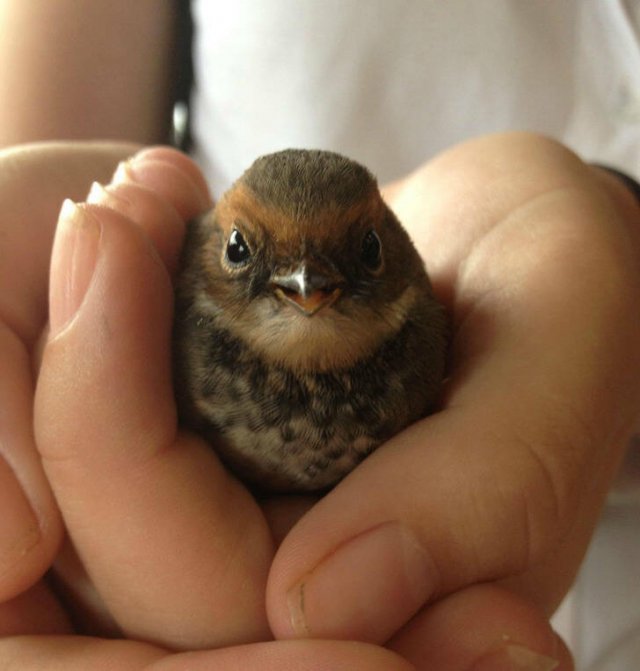 Life Is Beautiful (17 pics) Life Is Beautiful (17 pics)