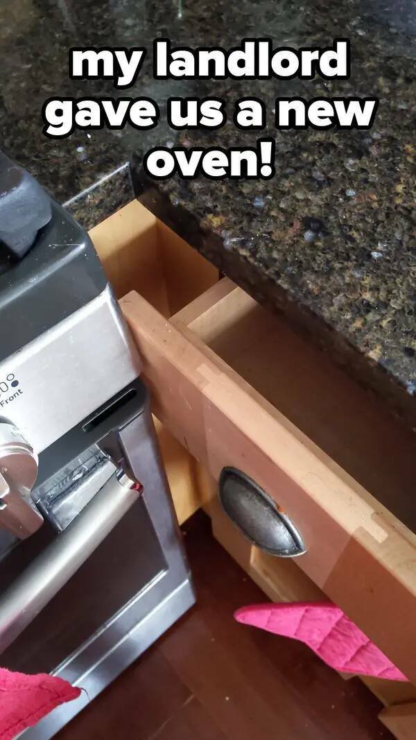 Odd Landlords (31 pics)