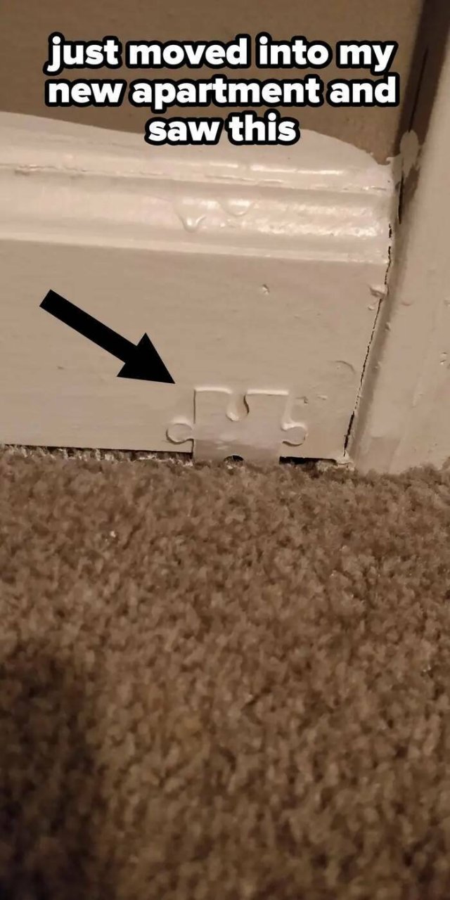 Odd Landlords (31 pics)