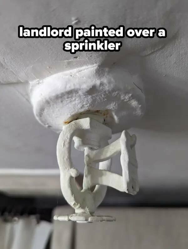 Odd Landlords (31 pics)