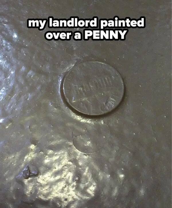 Odd Landlords (31 pics)