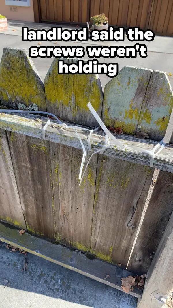Odd Landlords (31 pics)