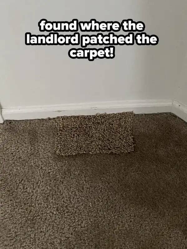Odd Landlords (31 pics)