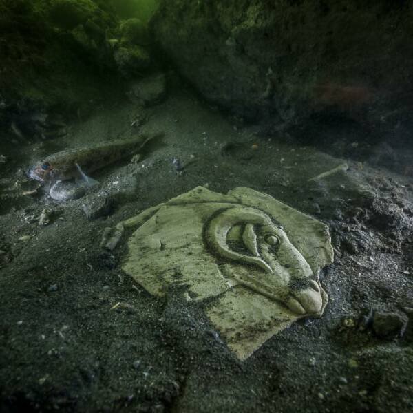 Curious Things From The Past (39 pics)