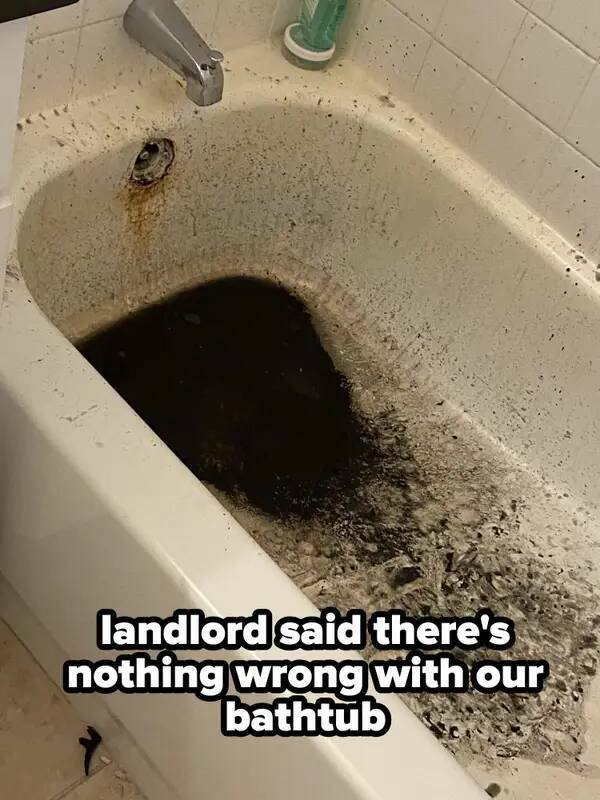 Odd Landlords (31 pics)