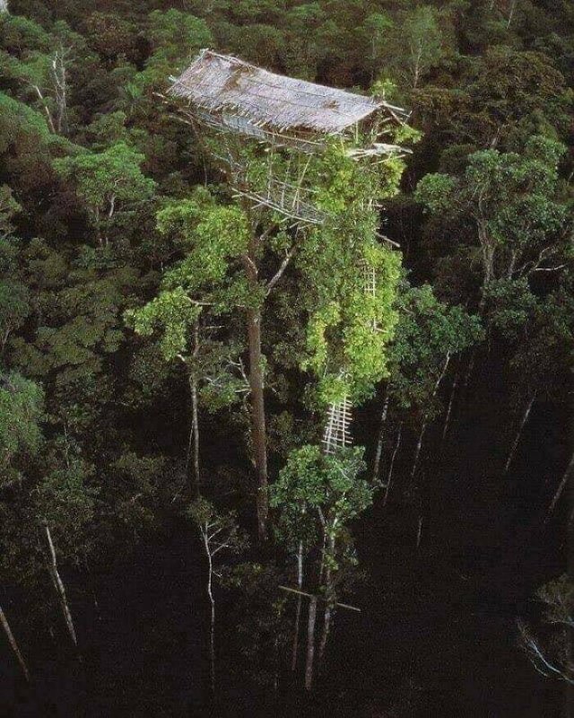 Curious Things From The Past (39 pics)