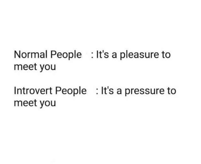 Memes For Introverts (32 pics)