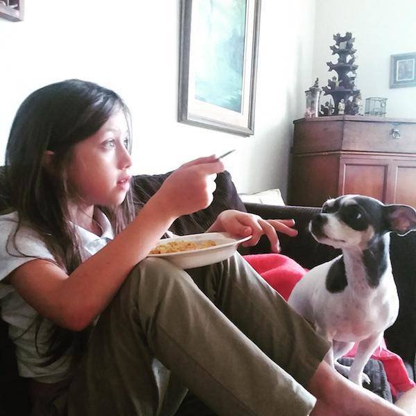 Funny Animals (33 pics)