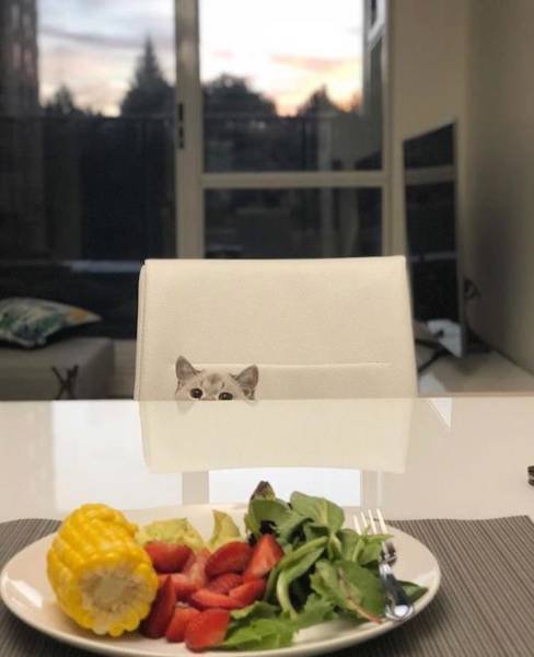 Funny Animals (33 pics)