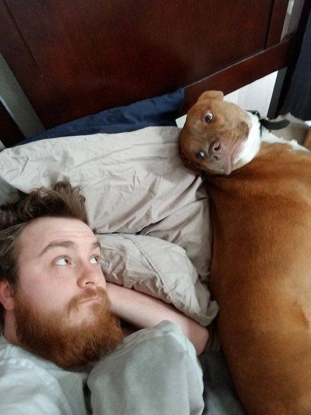 Adorable Pets (40 pics)