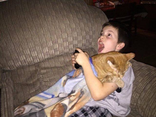 Adorable Pets (40 pics)