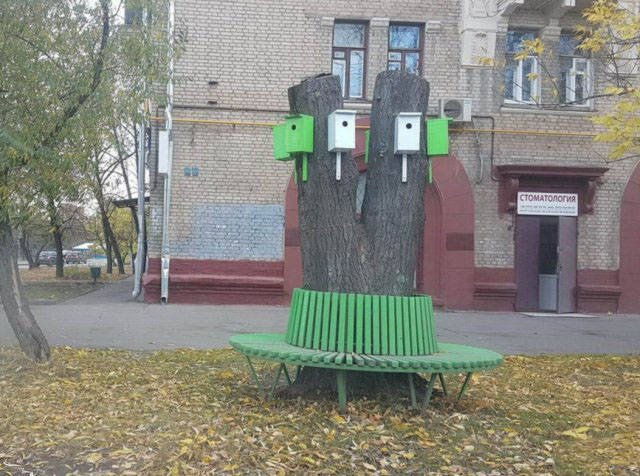 Strange Photos From Russia (42 pics)