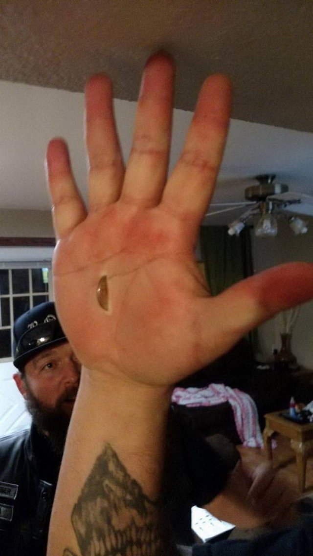 Weird Finds And Situations (46 pics)