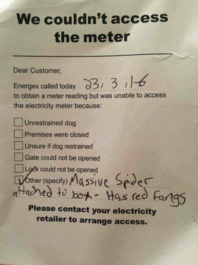 Disturbing Photos (42 pics)