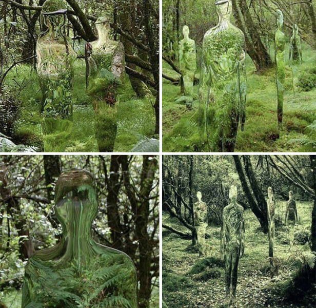 Disturbing Photos (42 pics)