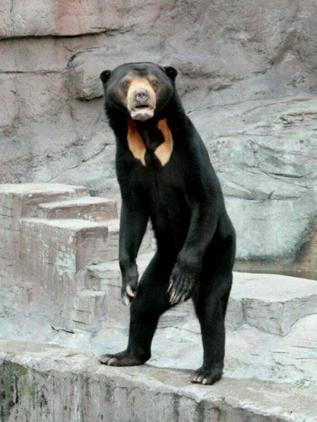 Disturbing Photos (42 pics)