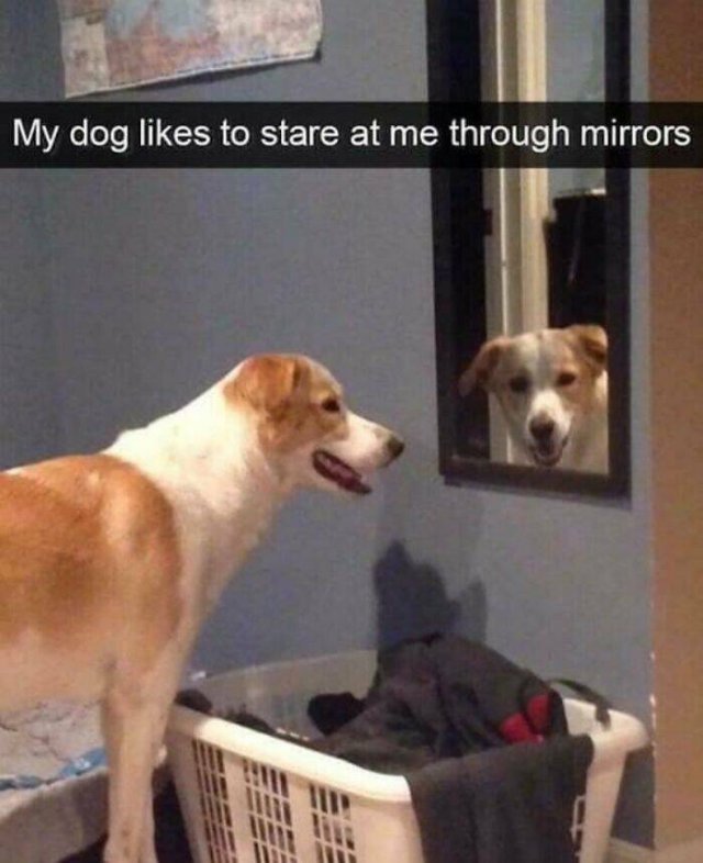 Disturbing Photos (42 pics)