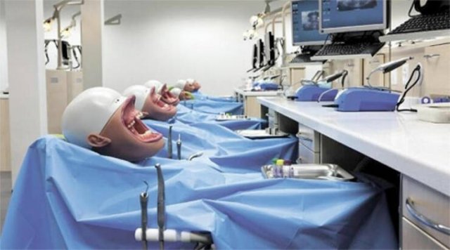 Disturbing Photos (42 pics)