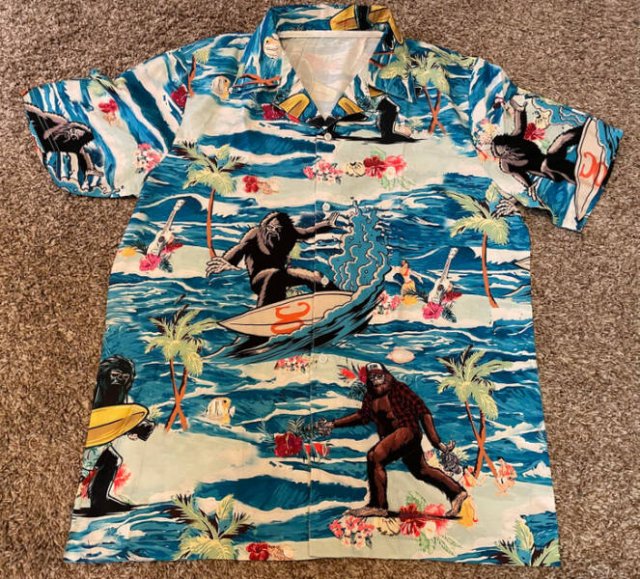 ''Treasures'' From Thrift Shops (21 pics)