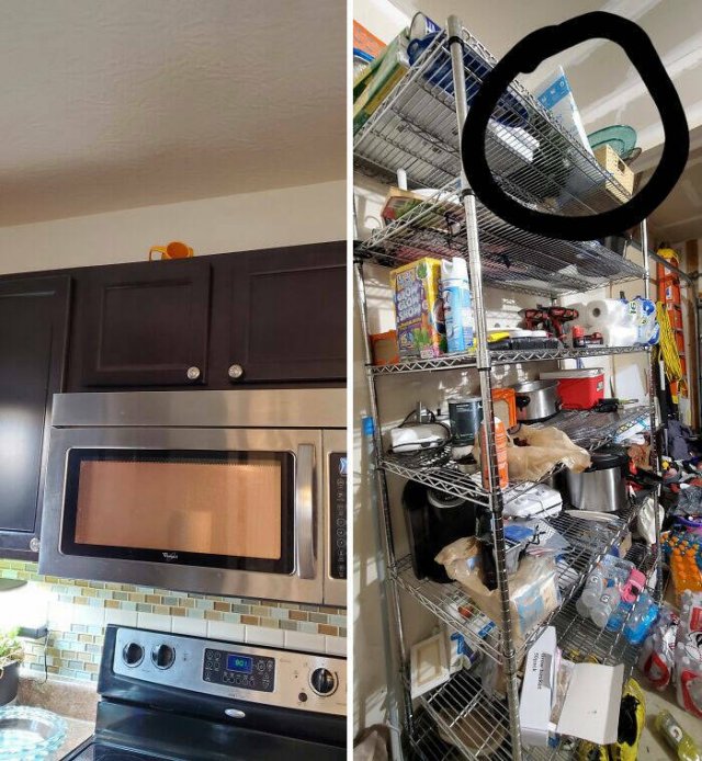 Annoying People (49 pics)