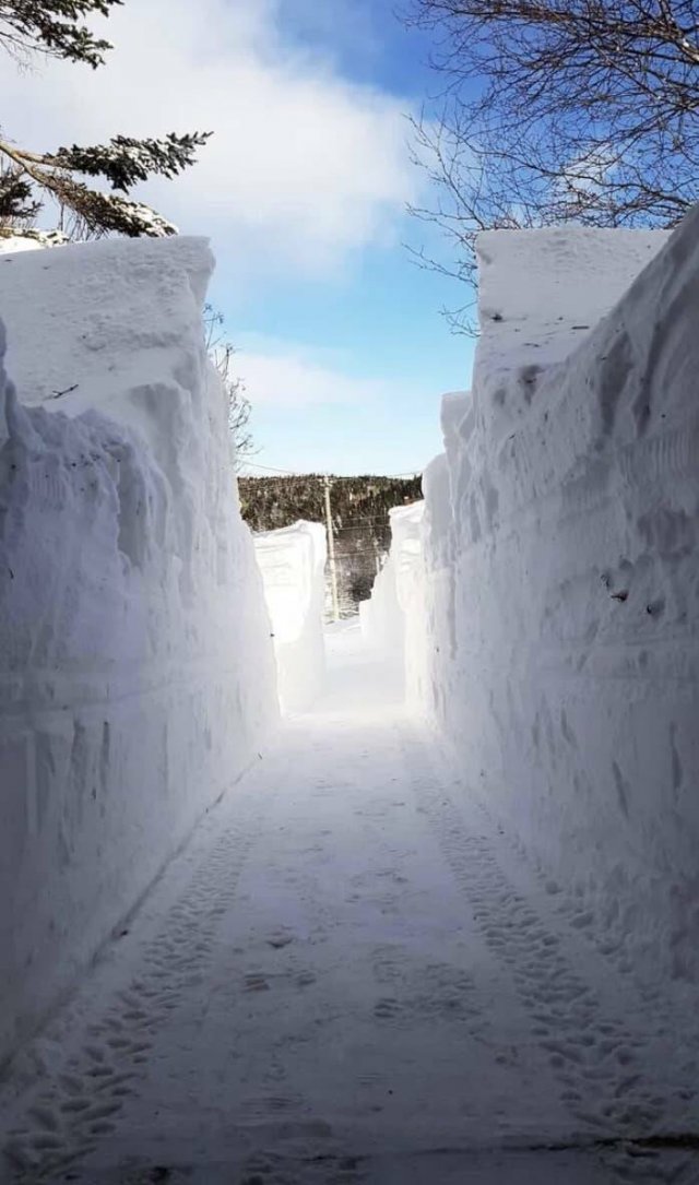 Canadian Winter Photos (48 pics)
