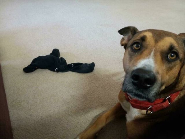 Annoying People (49 pics)