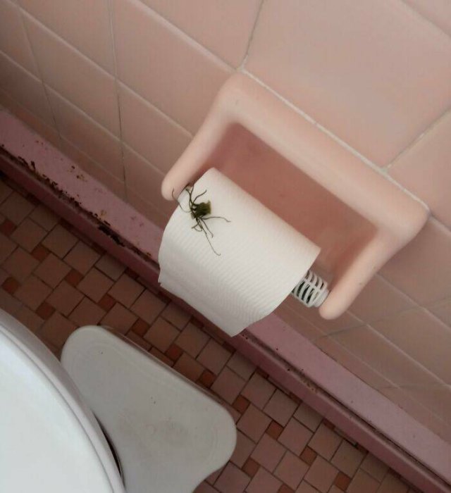 Annoying People (49 pics)