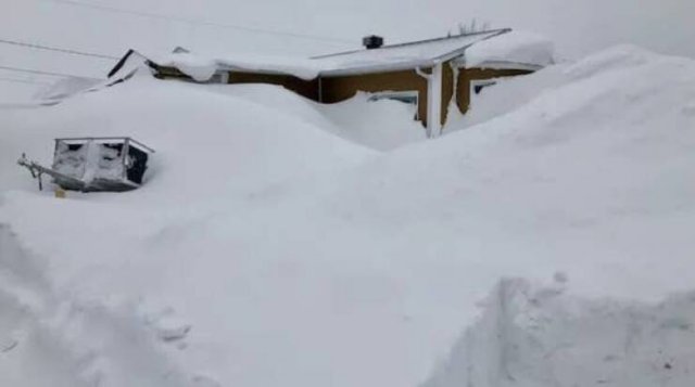 Canadian Winter Photos (48 pics)