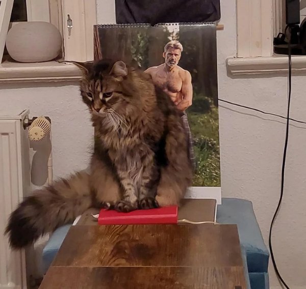 Look Twice (18 pics)
