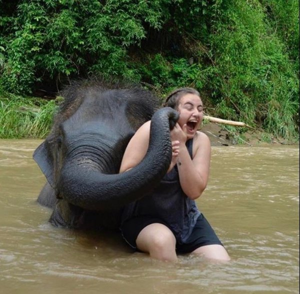 Look Twice (18 pics)