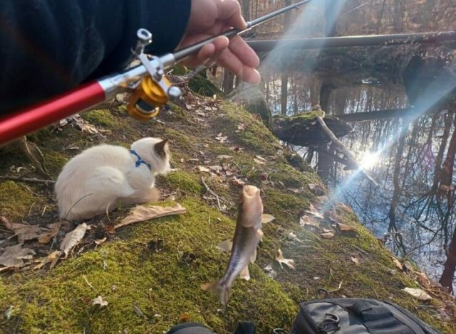 Interesting Finds And Situations (16 pics) Interesting Finds And Situations (16 pics)