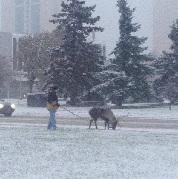 Odd Photos From Russia (40 pics)