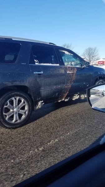 What Is Going On Here? (41 pics)
