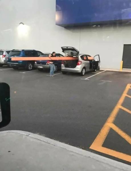 What Is Going On Here? (41 pics)
