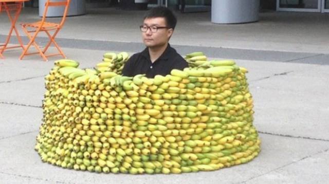 What Is Going On Here? (41 pics)
