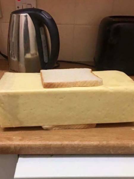 What Is Going On Here? (41 pics)