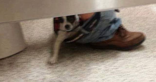 What Is Going On Here? (41 pics)