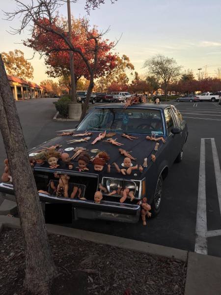 What Is Going On Here? (41 pics)