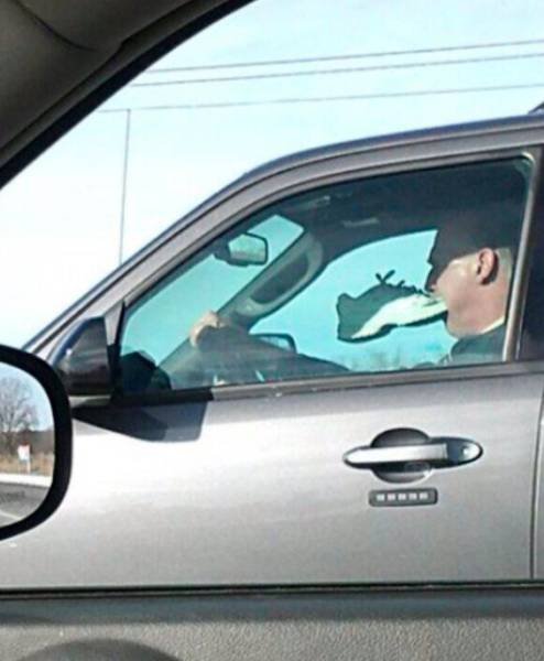 What Is Going On Here? (41 pics)