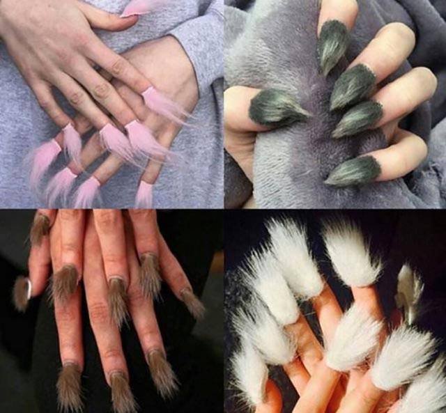 What Is Going On Here? (41 pics)