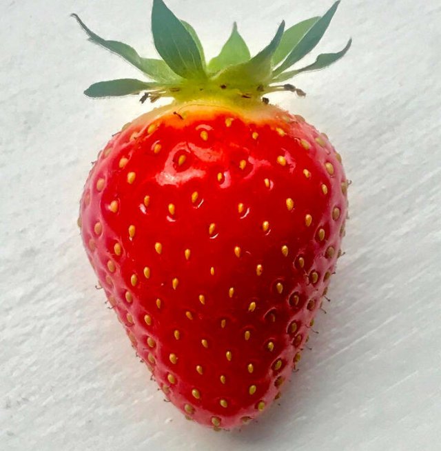 Amazing Photos For Perfectionists (48 pics)