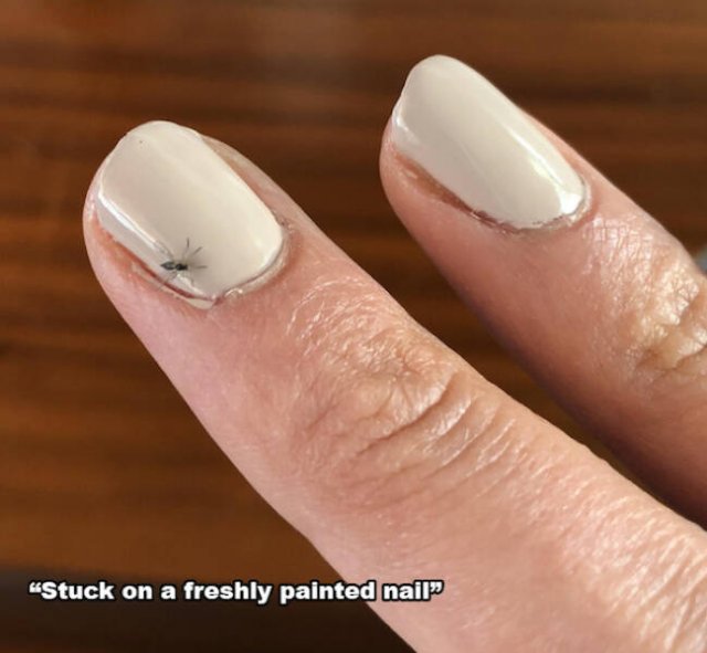 Weird And Crazy Situations (24 pics)