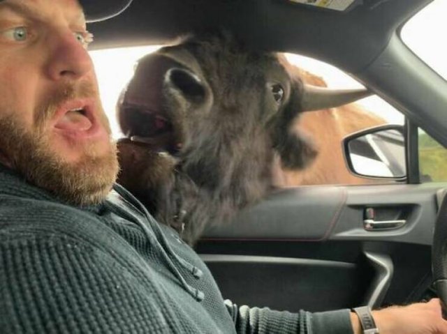 Weird And Crazy Situations (24 pics)